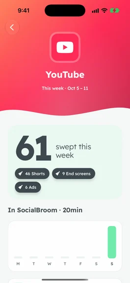 SocialBroom’s YouTube stats: 20 minutes and 61 things swept